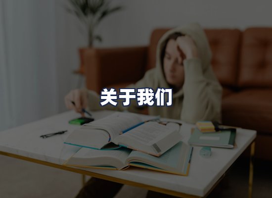 关于我们